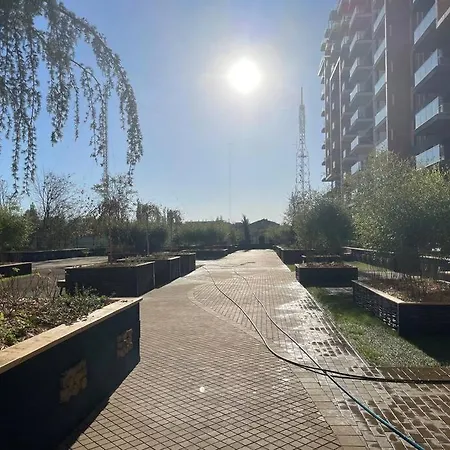 Silver Бухарест