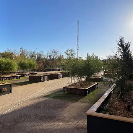 Silver 4* Bucureşti